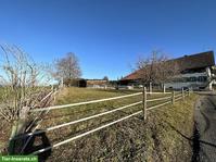 Offenstall für Selbstversorger in Mettmenstetten ZH