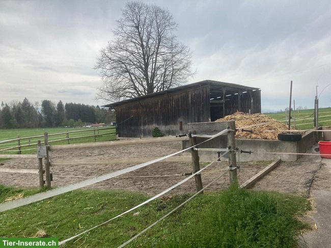 Bild 3: Offenstall für Selbstversorger in Mettmenstetten ZH
