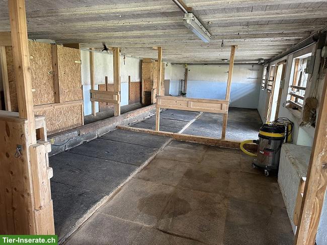 Bild 4: Offenstall für Selbstversorger in Mettmenstetten ZH