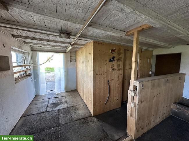 Bild 5: Offenstall für Selbstversorger in Mettmenstetten ZH