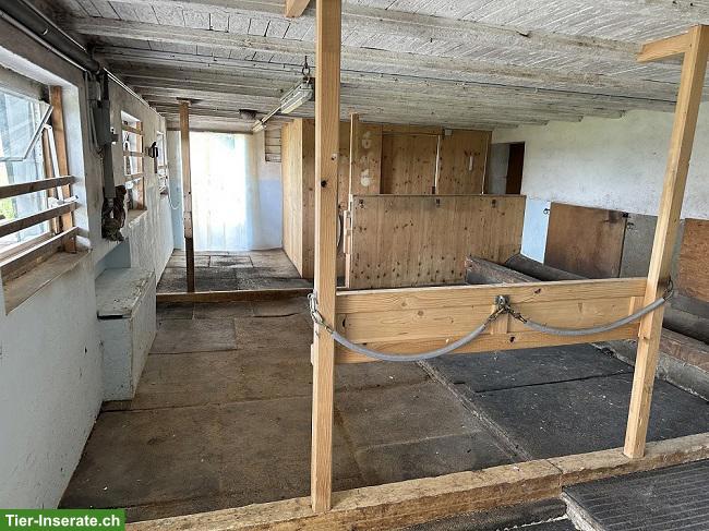 Bild 6: Offenstall für Selbstversorger in Mettmenstetten ZH