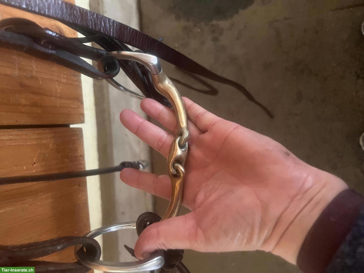 Bild 2: Westernsattel, selten gebraucht, mit Zubehör