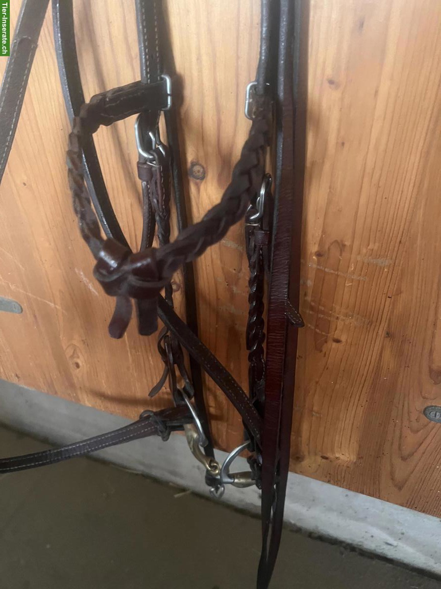 Bild 3: Westernsattel, selten gebraucht, mit Zubehör