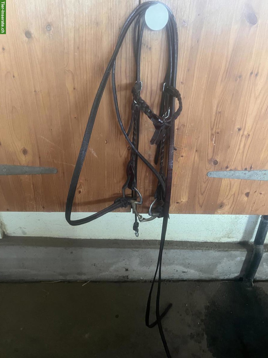 Bild 4: Westernsattel, selten gebraucht, mit Zubehör