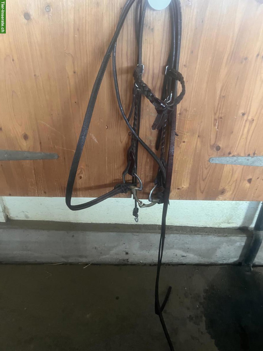 Bild 5: Westernsattel, selten gebraucht, mit Zubehör