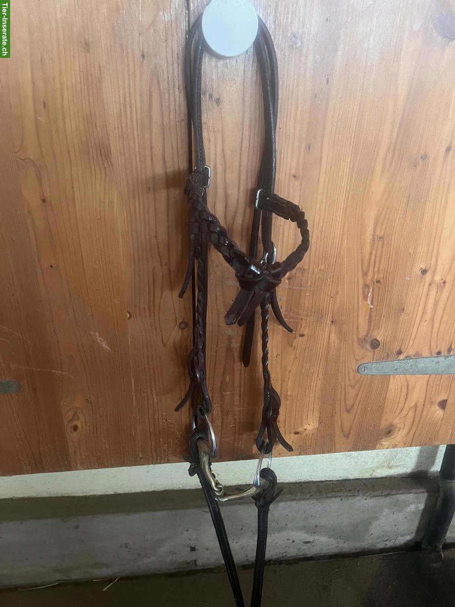 Bild 6: Westernsattel, selten gebraucht, mit Zubehör