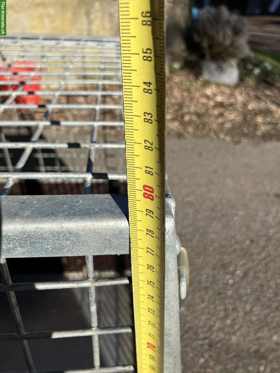 Bild 3: Massive Hundetransportbox zu verkaufen