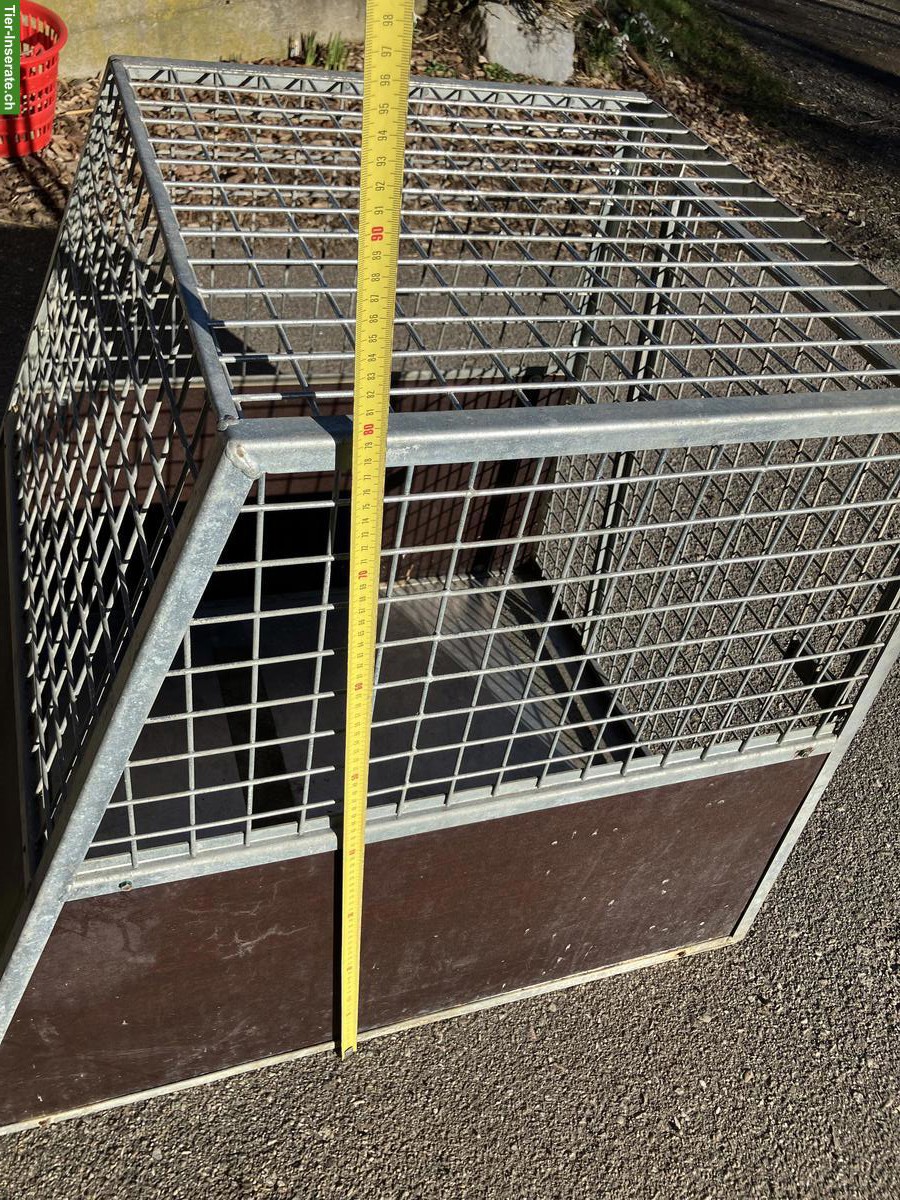 Bild 4: Massive Hundetransportbox zu verkaufen