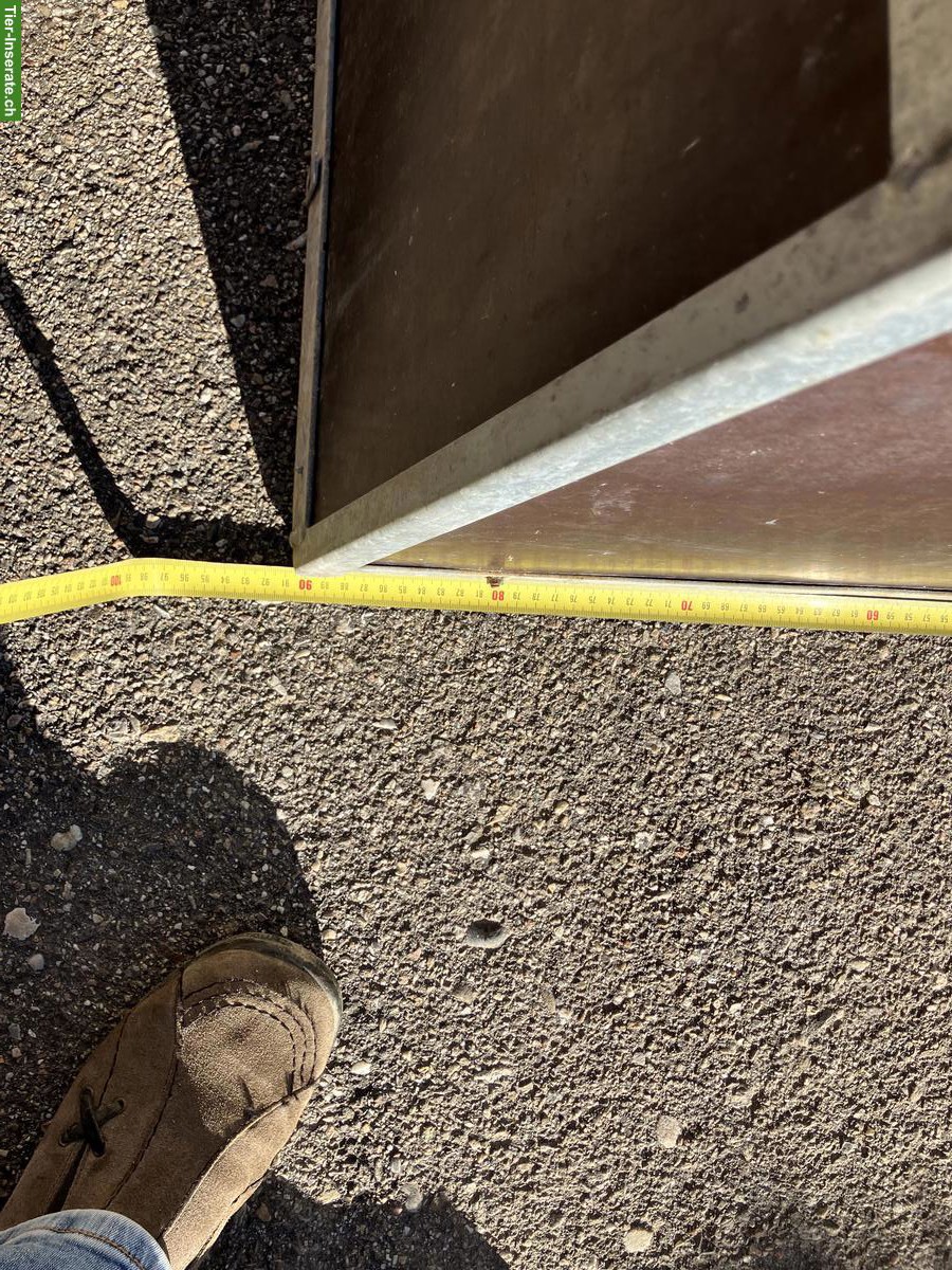 Bild 5: Massive Hundetransportbox zu verkaufen