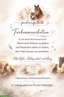 Tierkomunikation mit Ruhe, Achtsamkeit und Herz ❤️