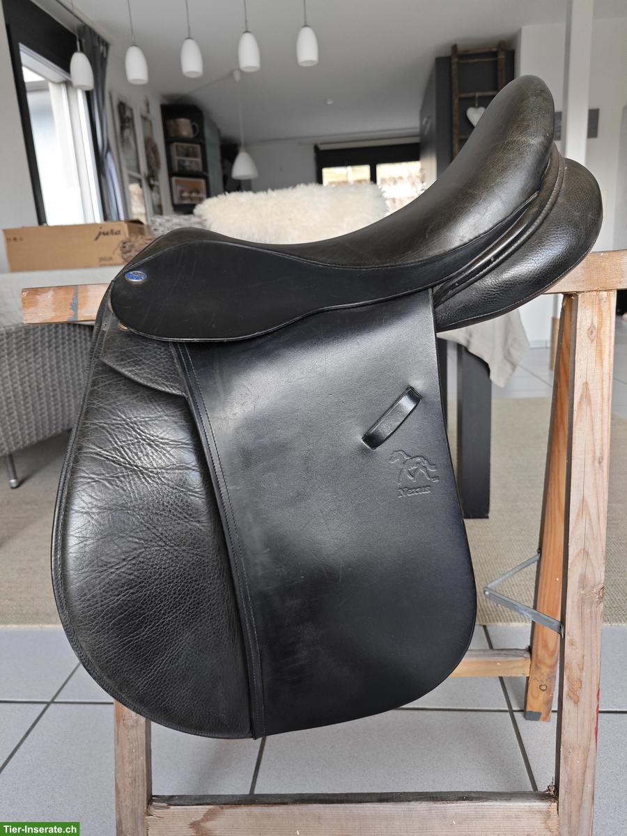 Balance Sattel Nexus GPD, J4 zu verkaufen