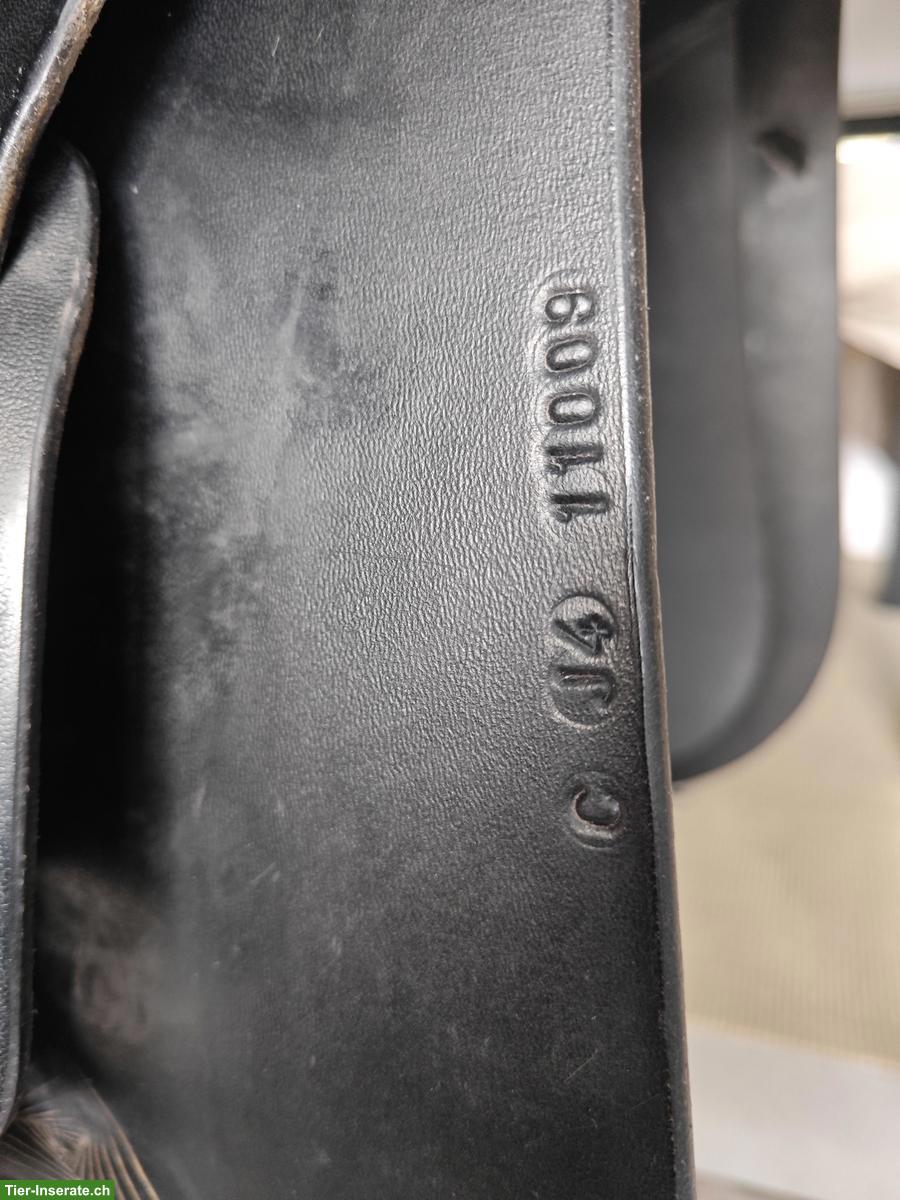 Bild 3: Balance Sattel Nexus GPD, J4 zu verkaufen