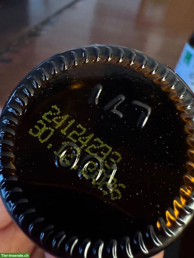 Bild 3: Omega 3 Algenöl für Hunde und Katzen zu verkaufen