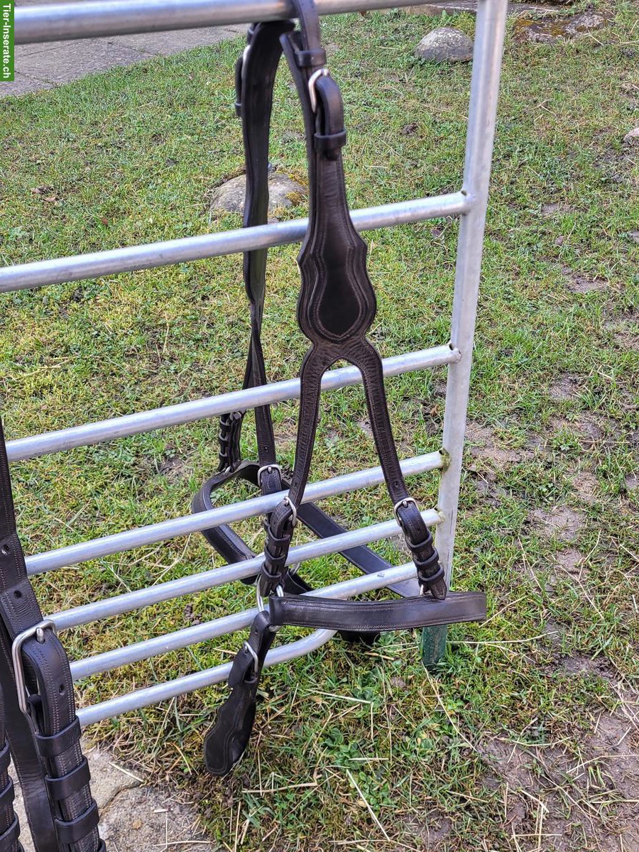 Bild 2: Occasion Kumtgeschirr (Einspänner) zu verkaufen