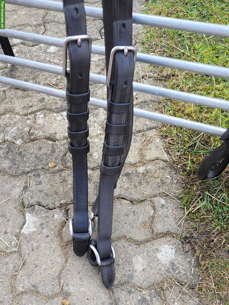 Bild 3: Occasion Kumtgeschirr (Einspänner) zu verkaufen