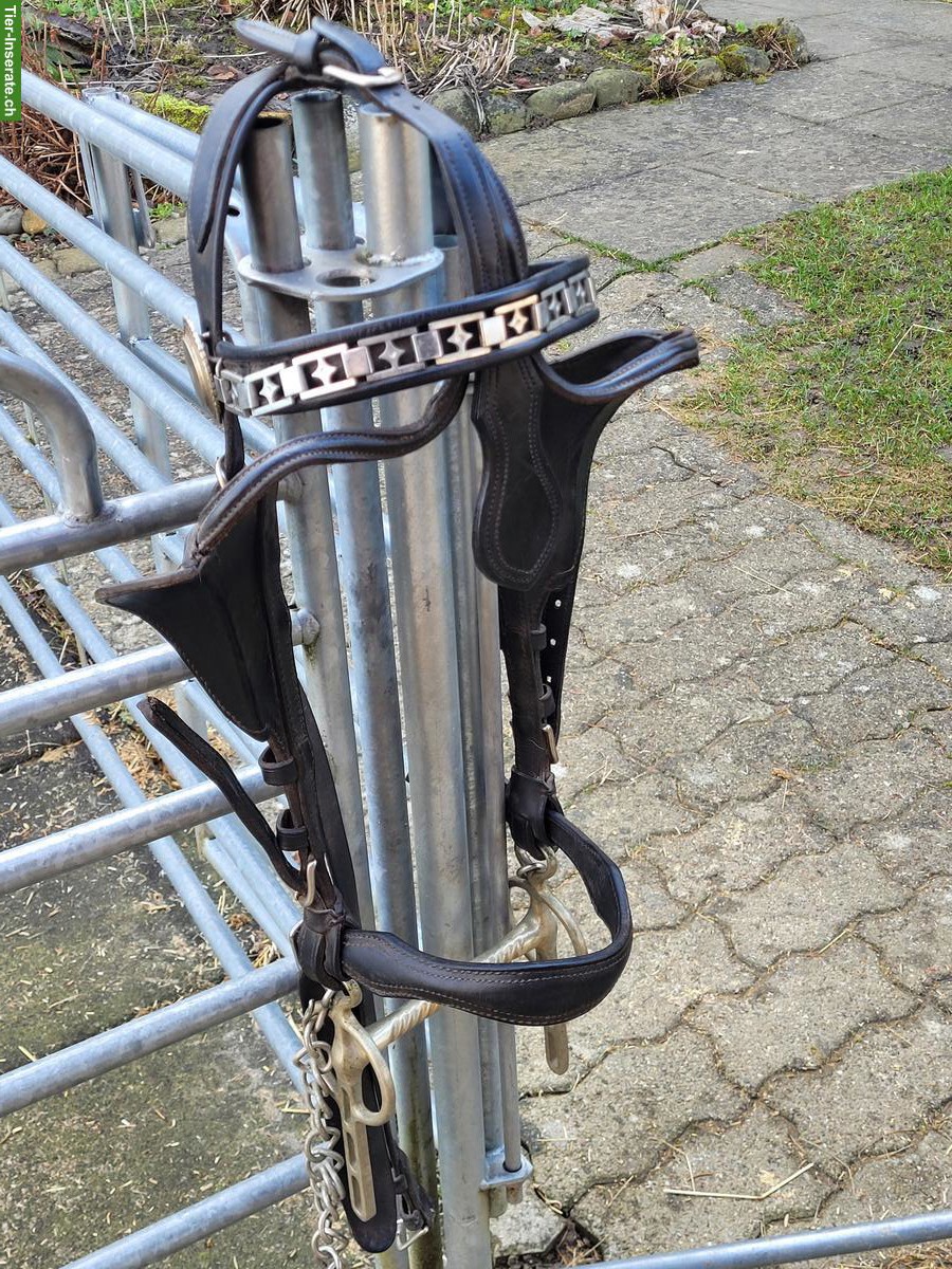 Bild 5: Occasion Kumtgeschirr (Einspänner) zu verkaufen