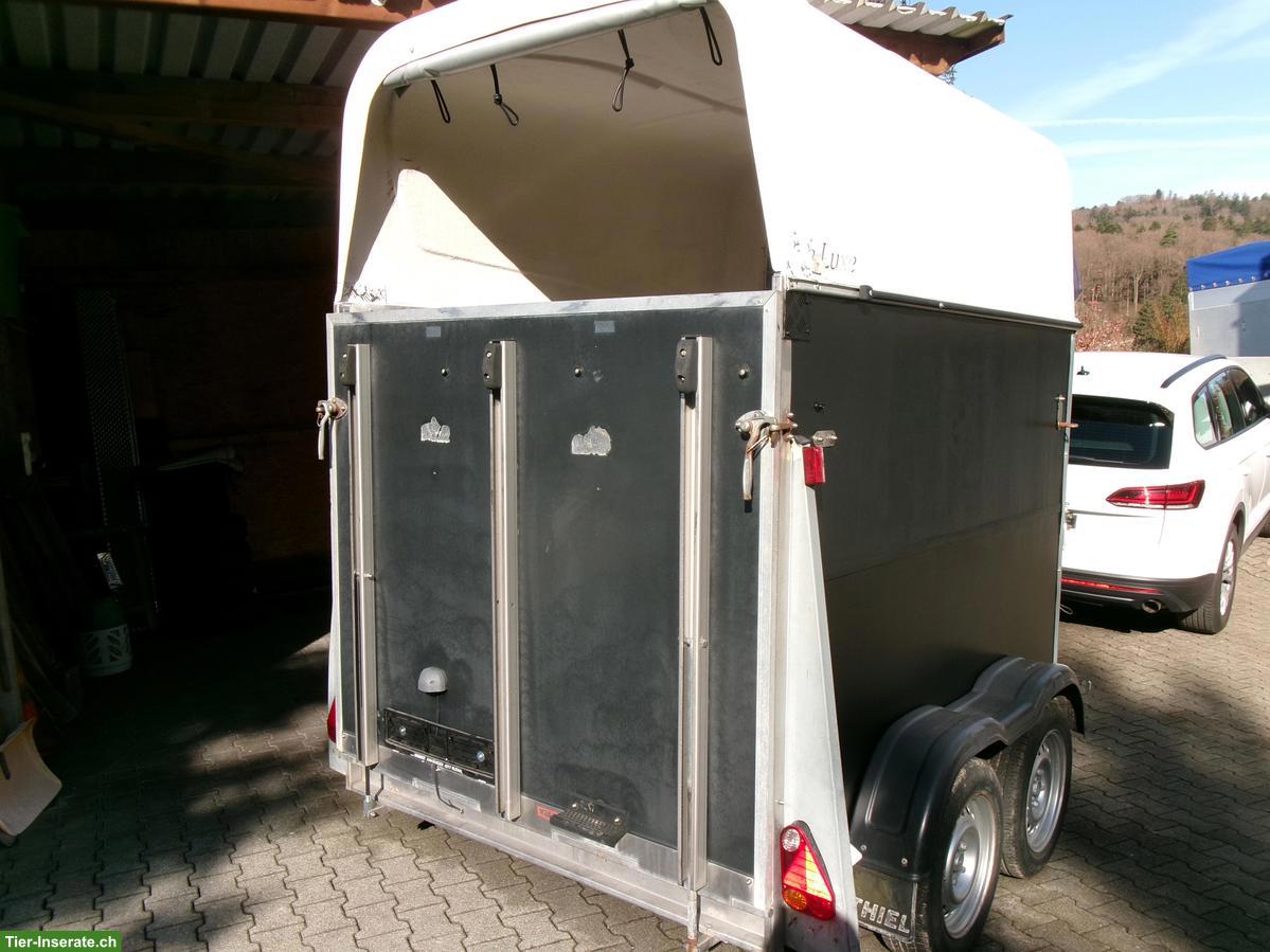 Bild 6: Thiel 2er Pferdeanhänger frisch ab MFK zu verkaufen