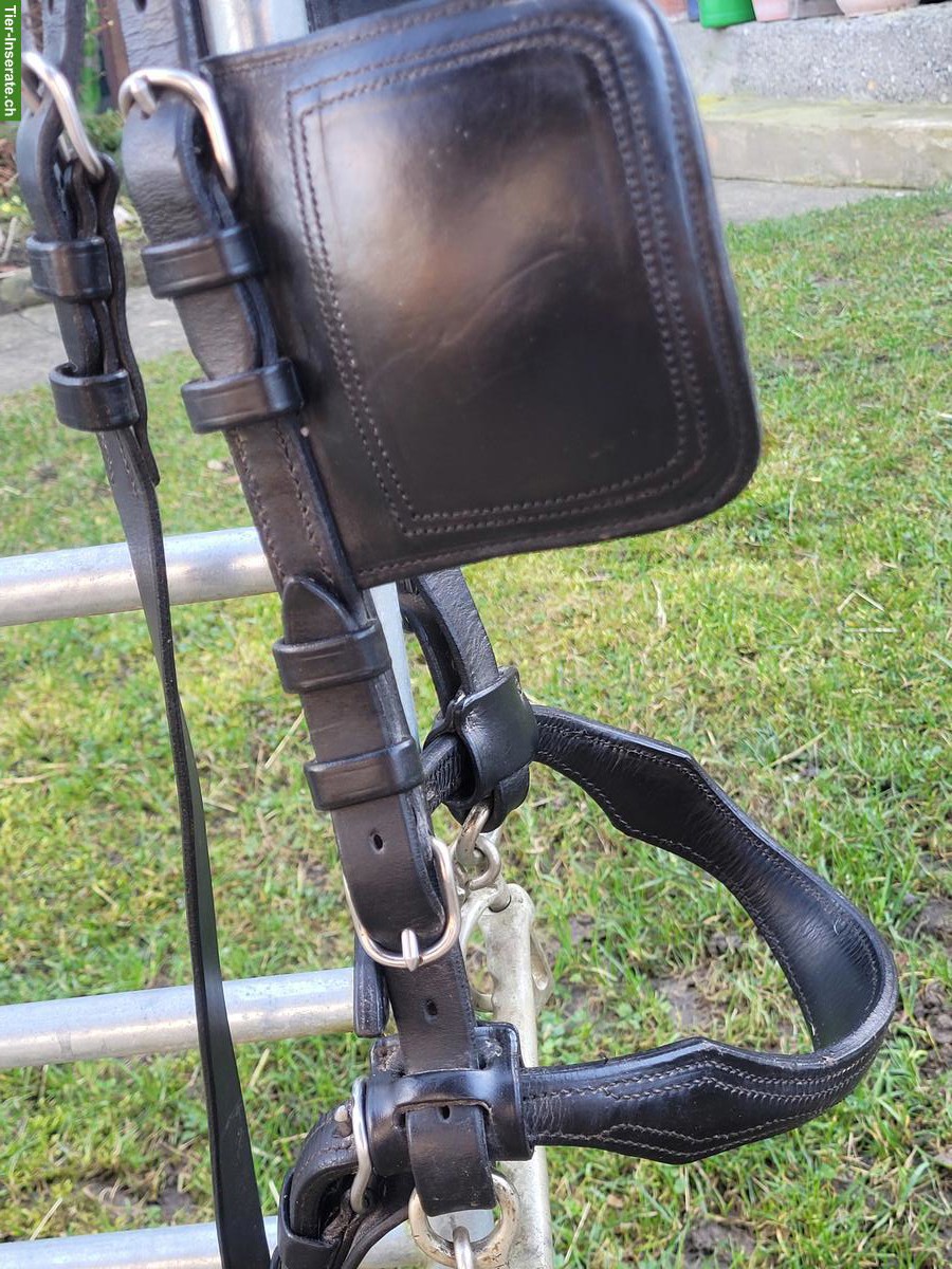 Bild 2: Occasion Fahrzäume Grösse Full