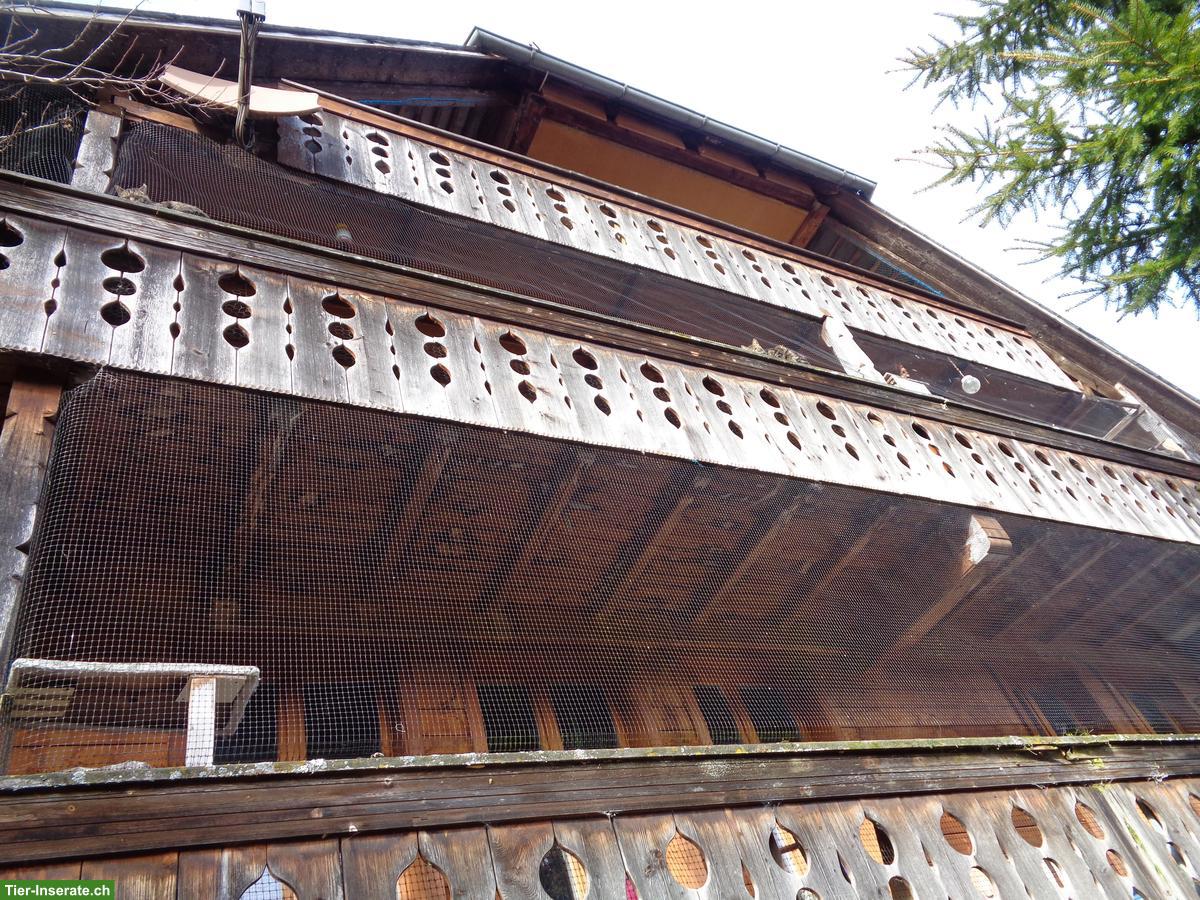 Renoviertes Bauernhaus mit Bauland zu verkaufen, nahe Bern