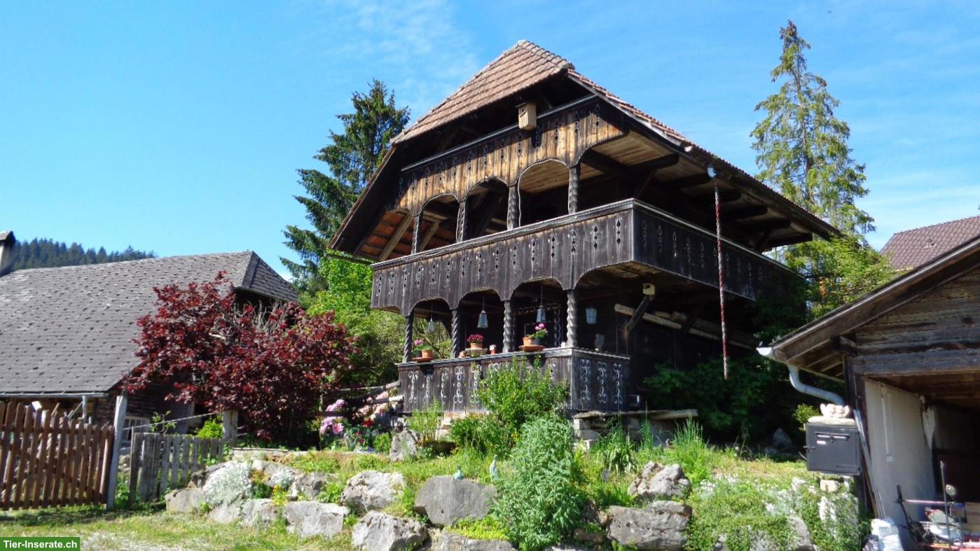 Bild 4: Renoviertes Bauernhaus mit Bauland zu verkaufen, nahe Bern