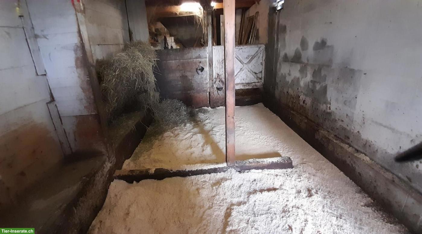 Bild 8: Renoviertes Bauernhaus mit Bauland zu verkaufen, nahe Bern