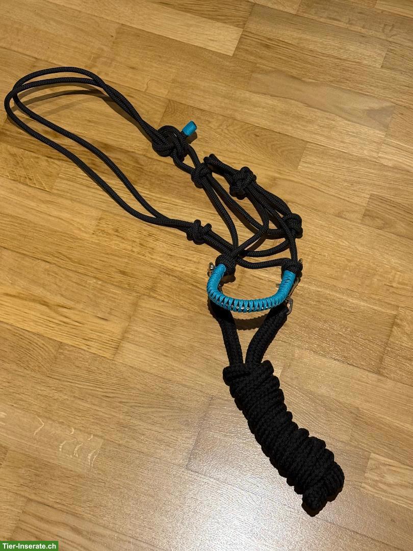 Bodenarbeits-Set, Knotenhalfter & Seilzügel, Gr. Full