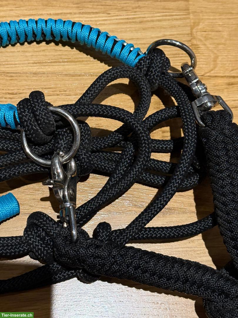 Bild 2: Bodenarbeits-Set, Knotenhalfter & Seilzügel, Gr. Full