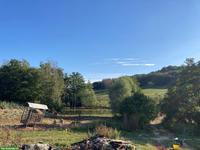 Suche Gruppenstall oder Teil-Selbstversorgerstall für 2 Pferde, Schwyz