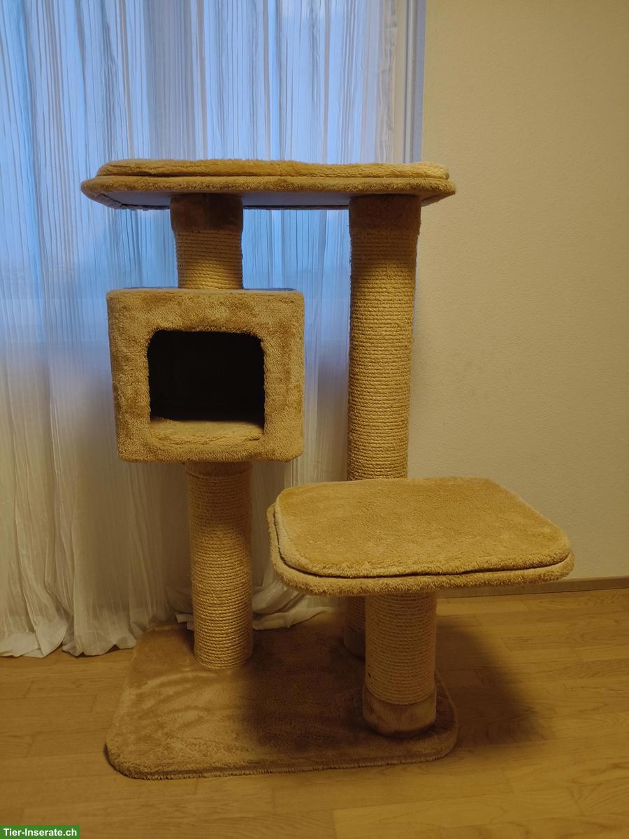 Kratzbaum GRATIS abzugeben