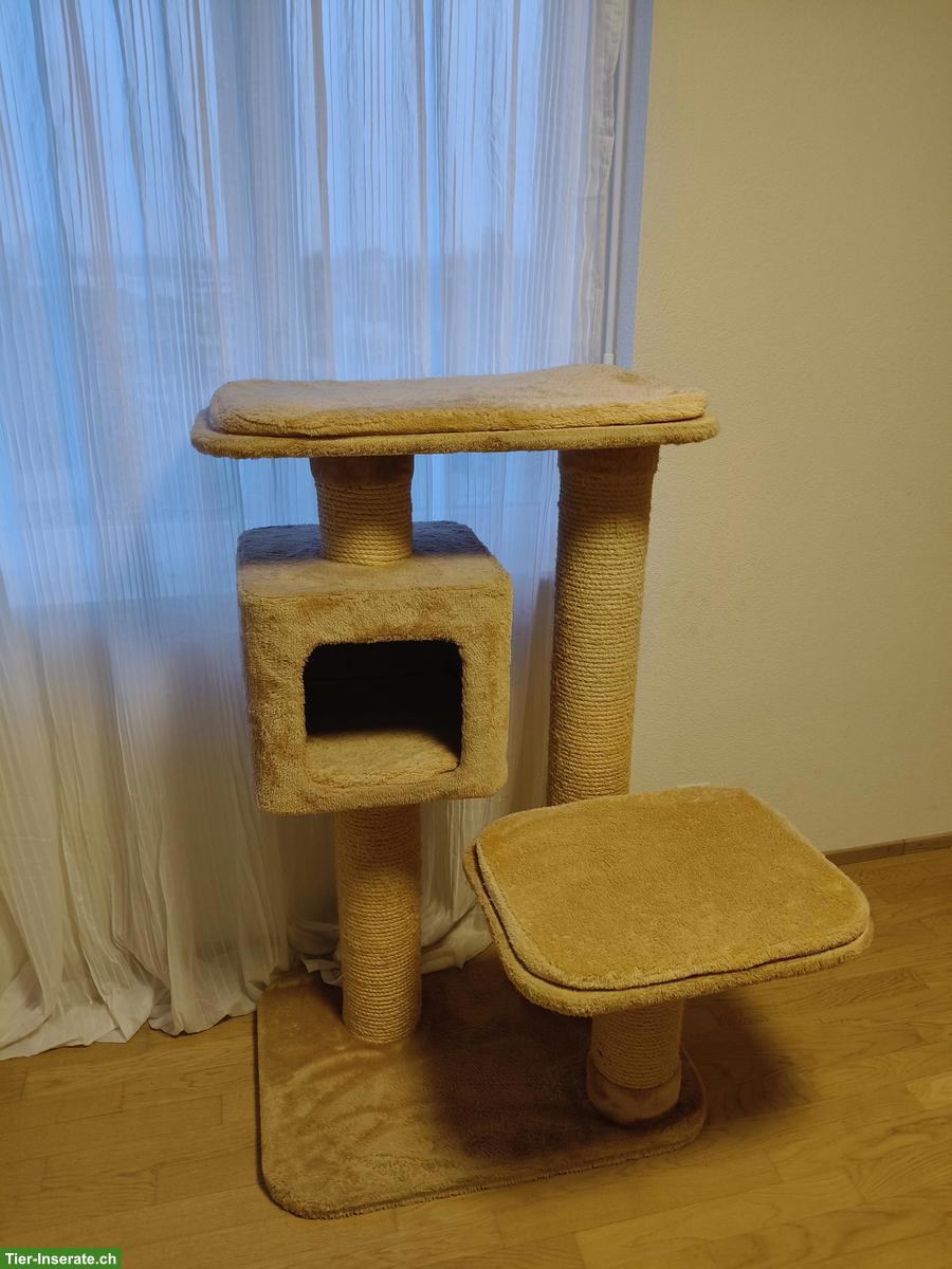 Bild 2: Kratzbaum GRATIS abzugeben