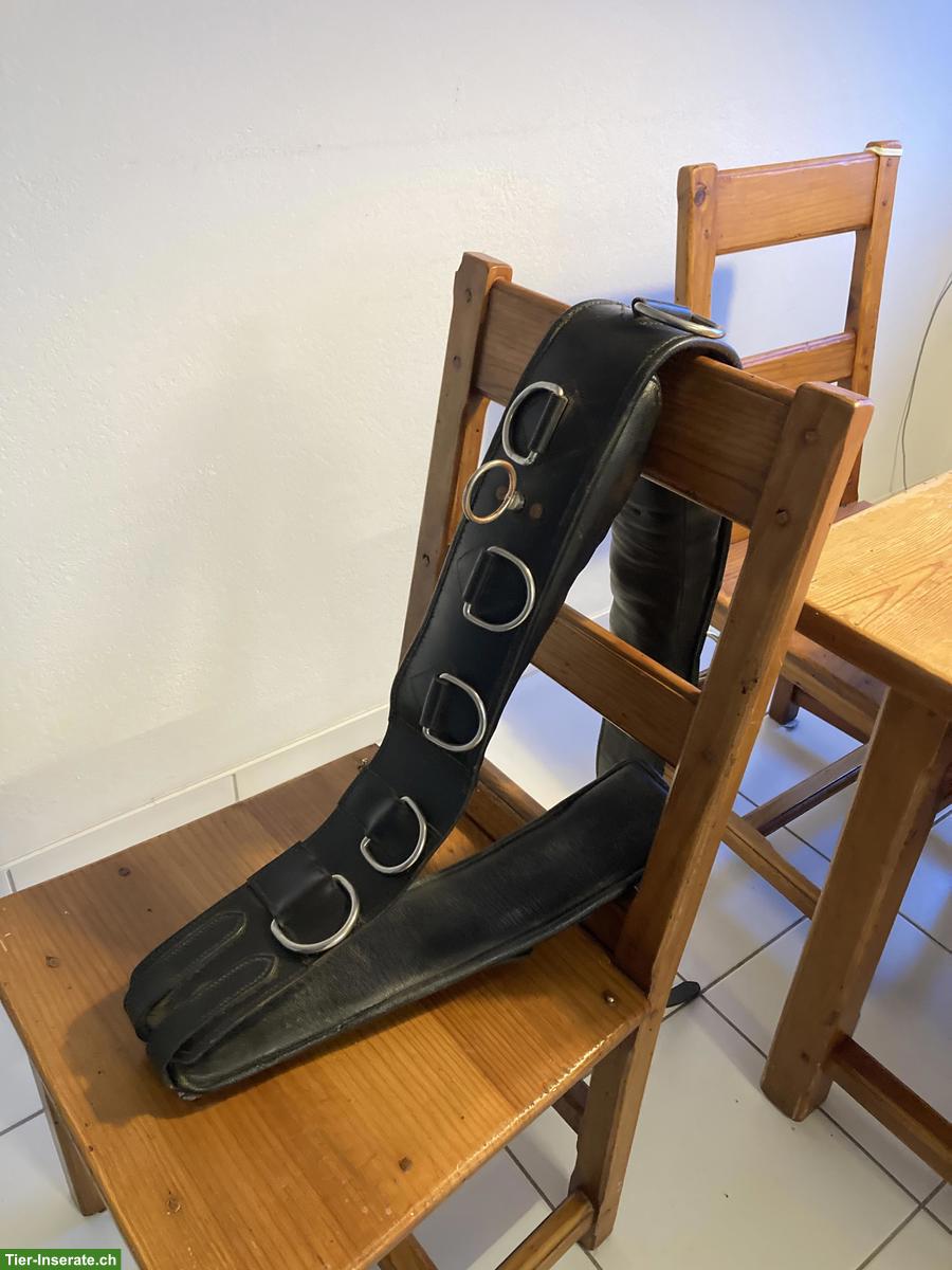 Longiergurte aus Leder zu verkaufen