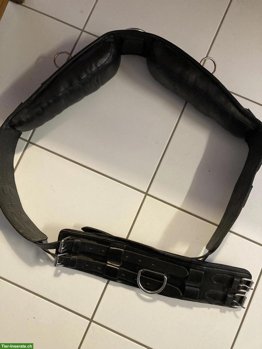 Bild 2: Longiergurte aus Leder zu verkaufen