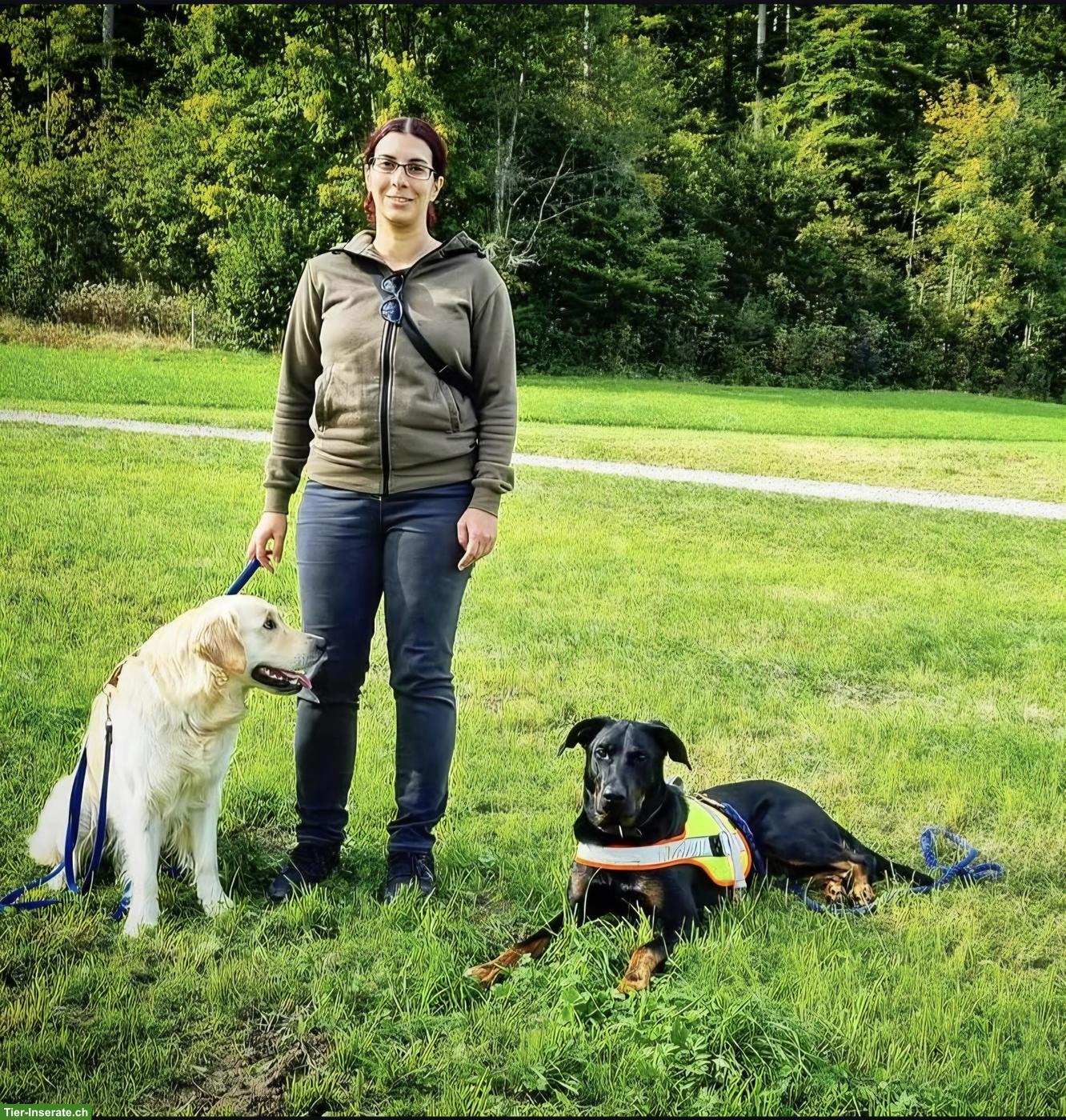 Bild 5: Hundebetreuung mit Einzelhaltung und Familienanschluss