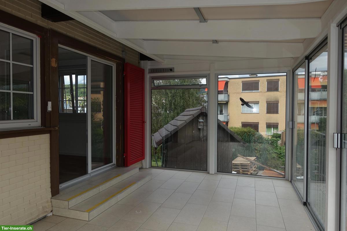 Bild 10: 3 Zimmer-Einfamilienhaus mit viel Umschwung, Hinwil ZH