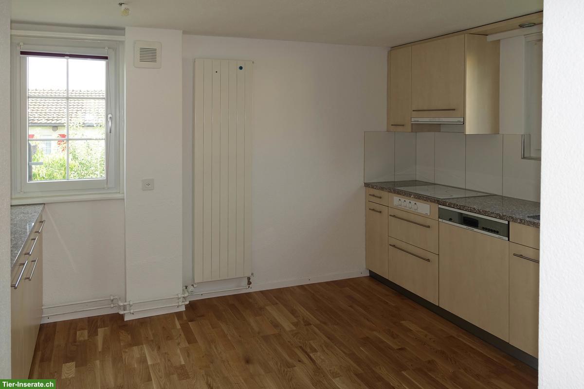 Bild 3: 3 Zimmer-Einfamilienhaus mit viel Umschwung, Hinwil ZH