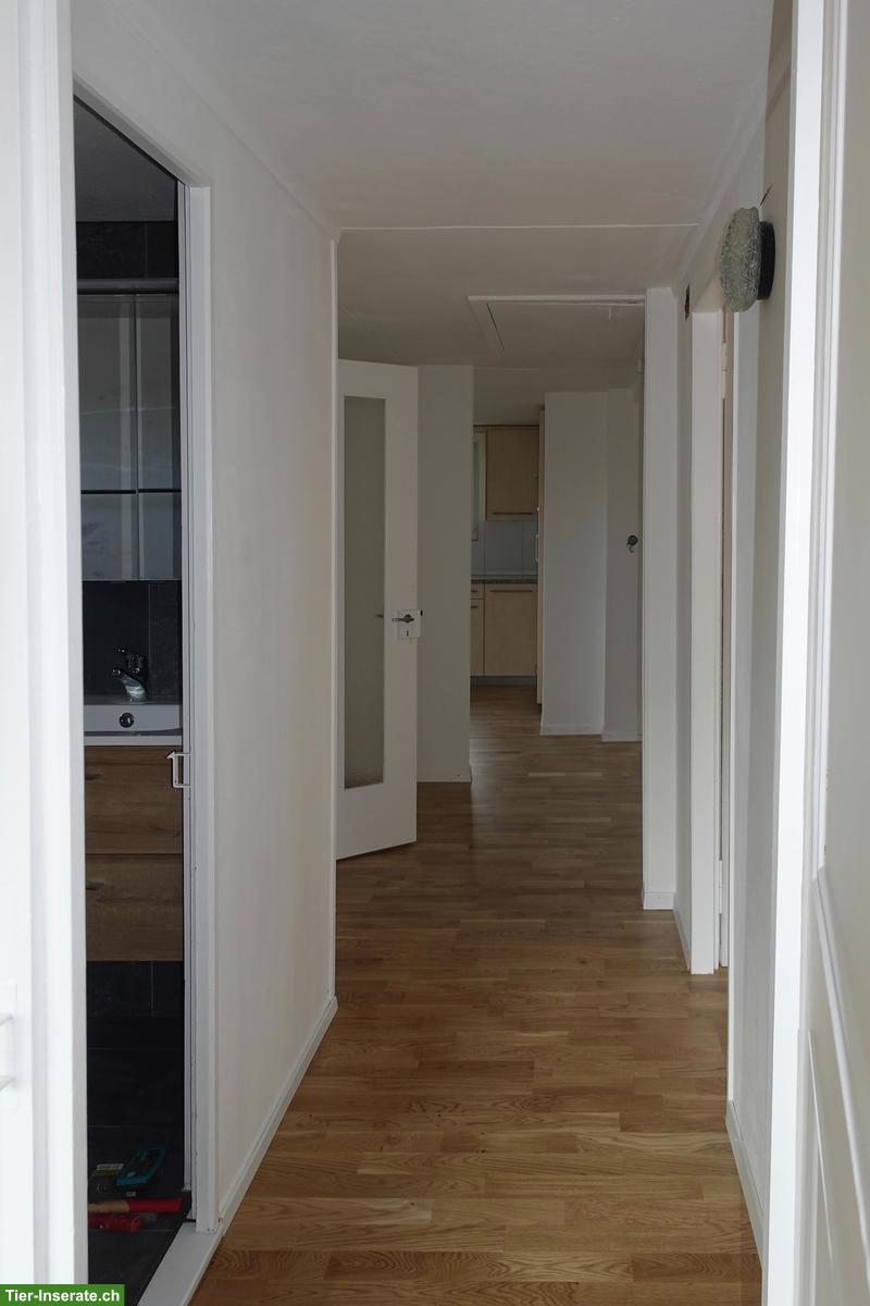 Bild 7: 3 Zimmer-Einfamilienhaus mit viel Umschwung, Hinwil ZH