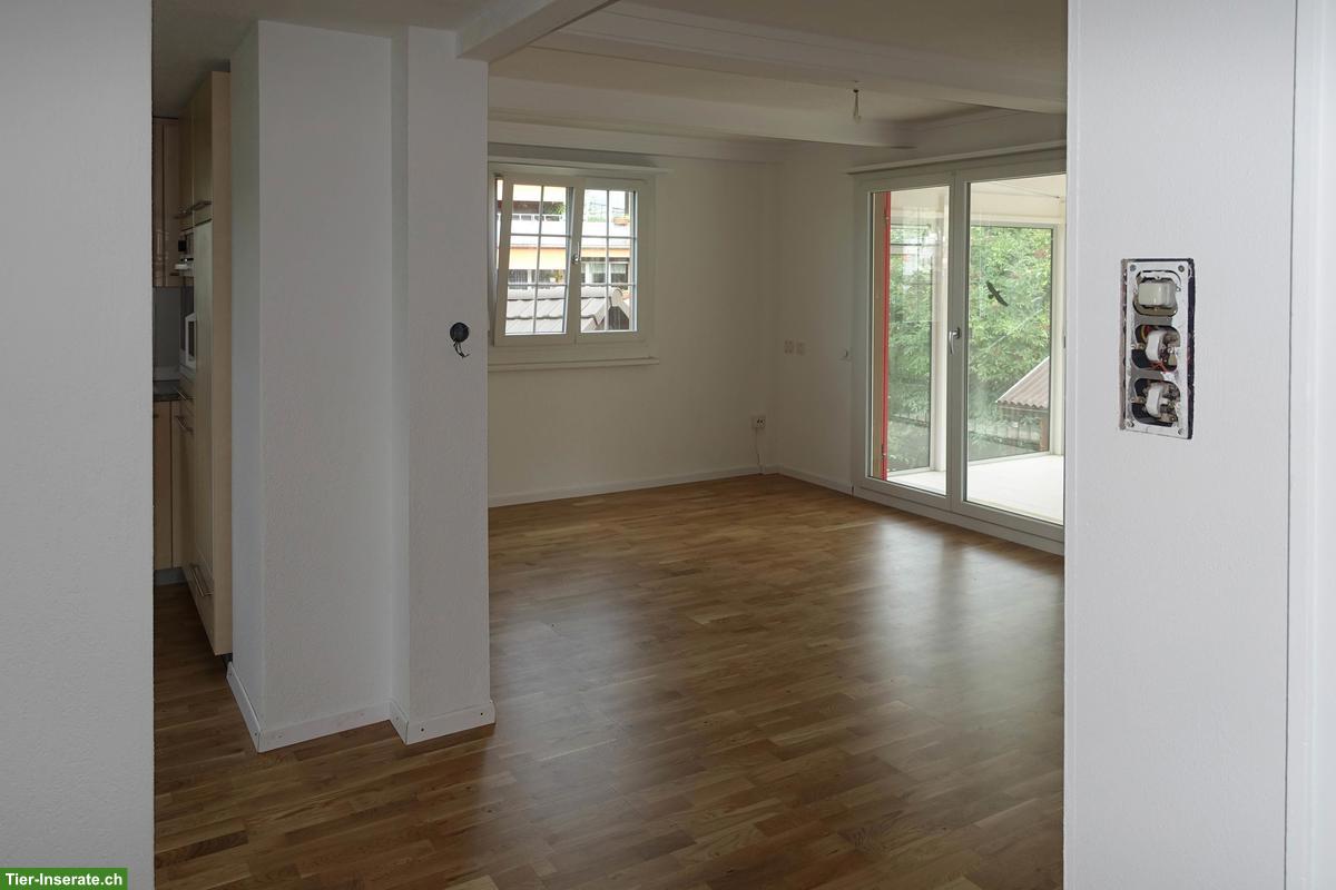 Bild 8: 3 Zimmer-Einfamilienhaus mit viel Umschwung, Hinwil ZH