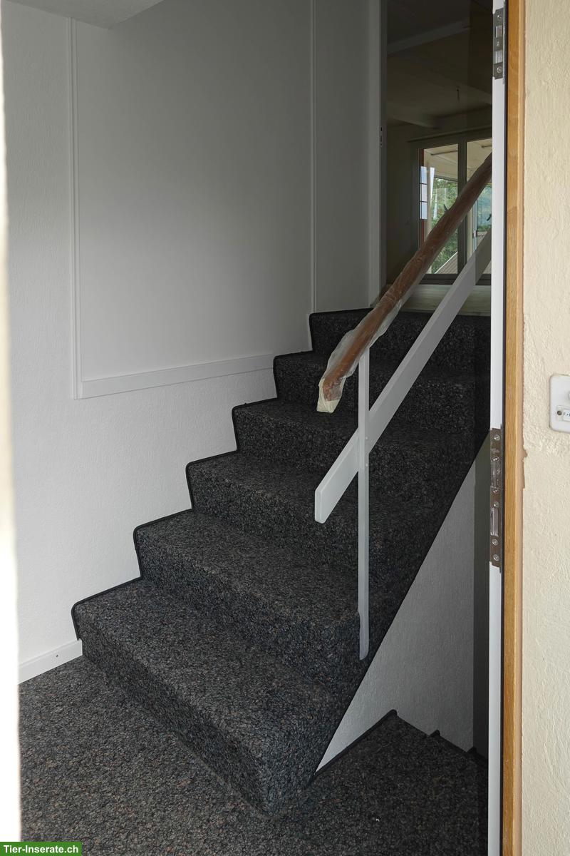 Bild 9: 3 Zimmer-Einfamilienhaus mit viel Umschwung, Hinwil ZH