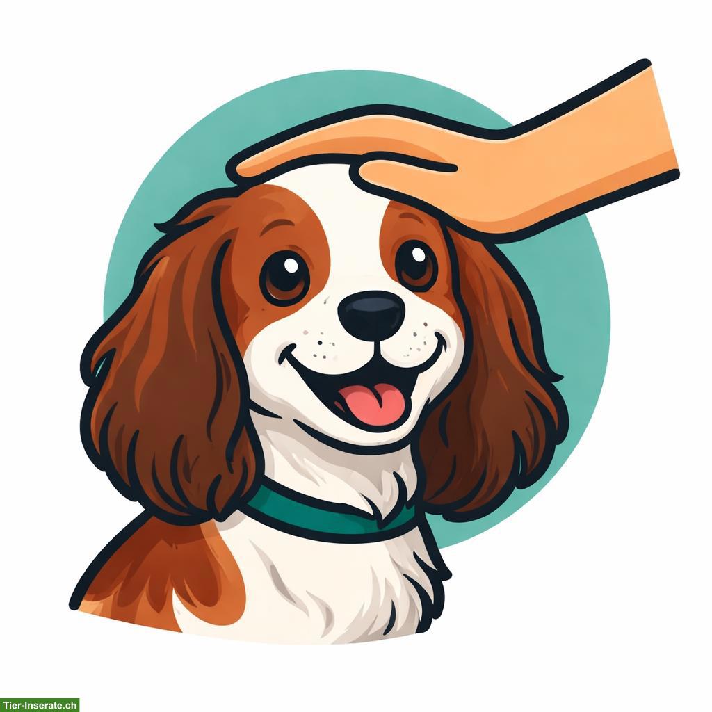 Bieten liebevolle Hundebetreuung für kleine Fellnasen