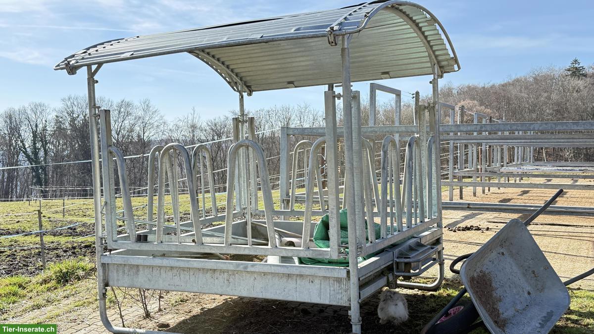 Pferde Heuraufe zu verkaufen