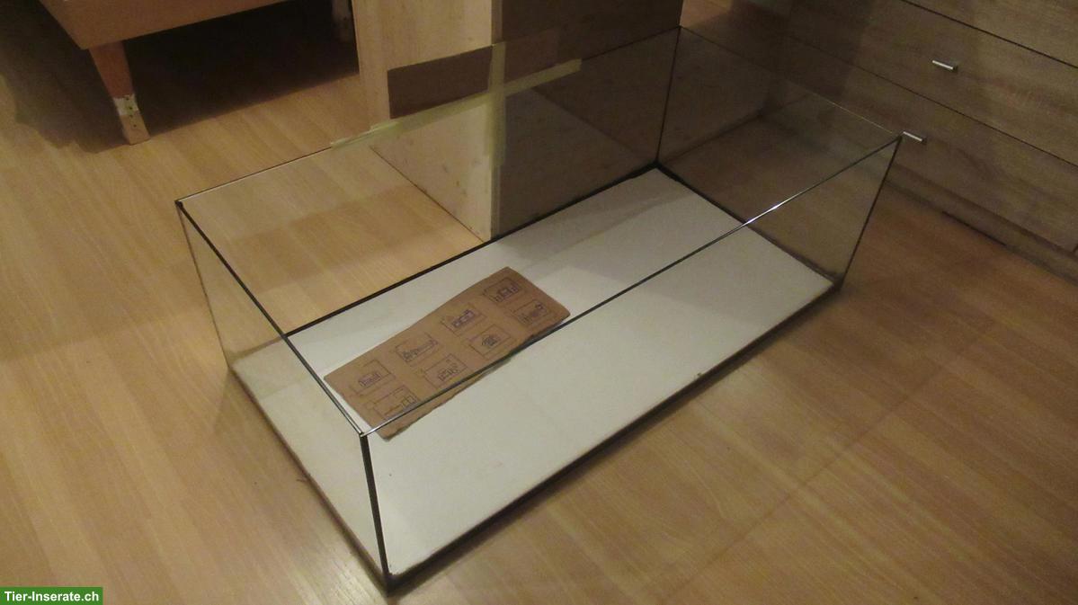 Aqua Becken / Nagerterrarium, 5mm Glasdicke