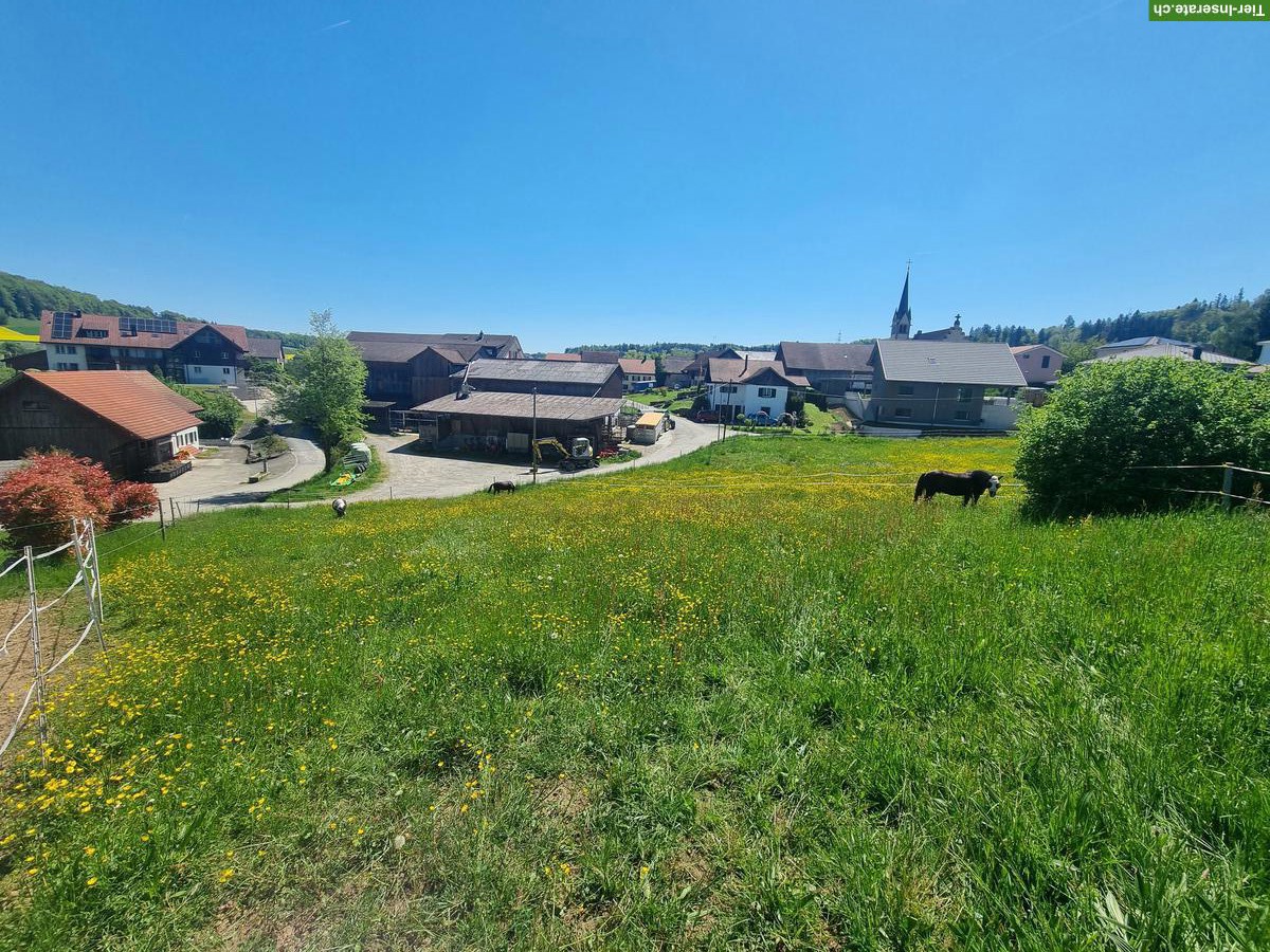 Bild 10: Stallteil (Offenstall) & 2 grosse Auslaufboxen in Baldingen AG