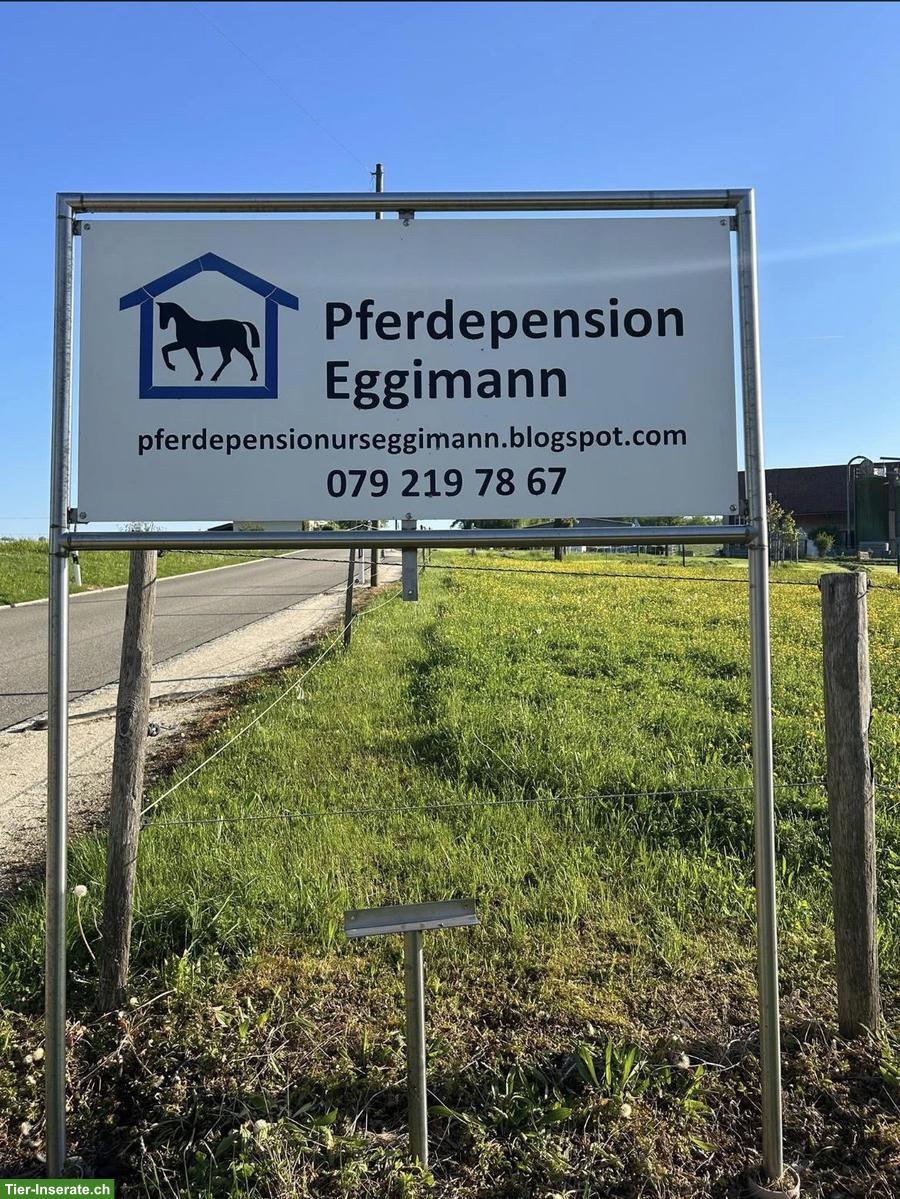 Bild 4: 2 Pferdeboxen mit Auslauf in Basel-Landschaft