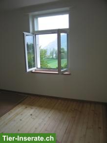 Bild 3: 4.5 Zimmer Hausteil mit Garten und Nebenräumen