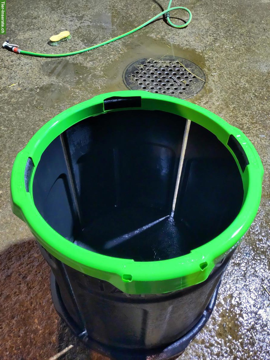 Bild 2: Haygain Forager Slowfeeder, wenig gebraucht