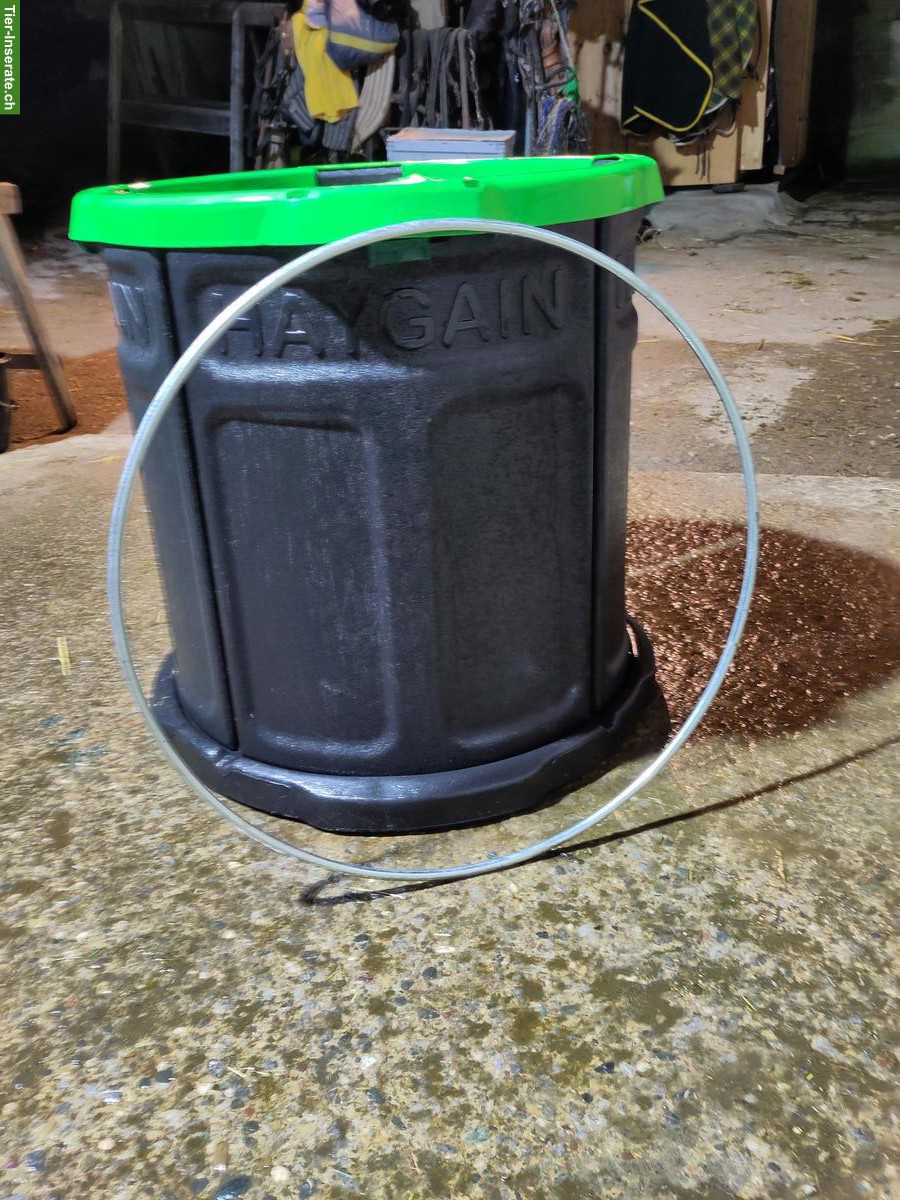 Bild 3: Haygain Forager Slowfeeder, wenig gebraucht