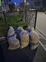 Hasenmist GRATIS abzugeben