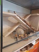 Terrarium von Logoterrarien inkl. Technik