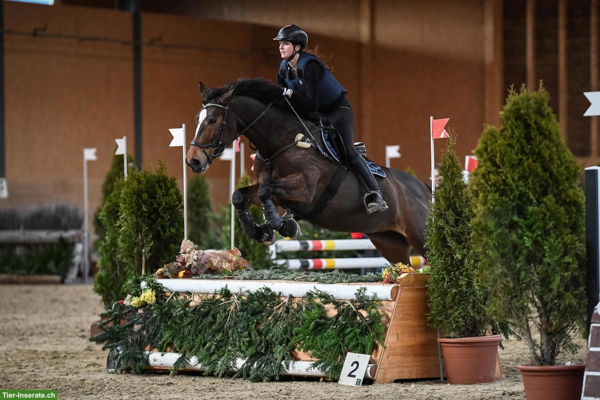 Bild 2: Pferd sucht Reiter, Salmsach im Thurgau