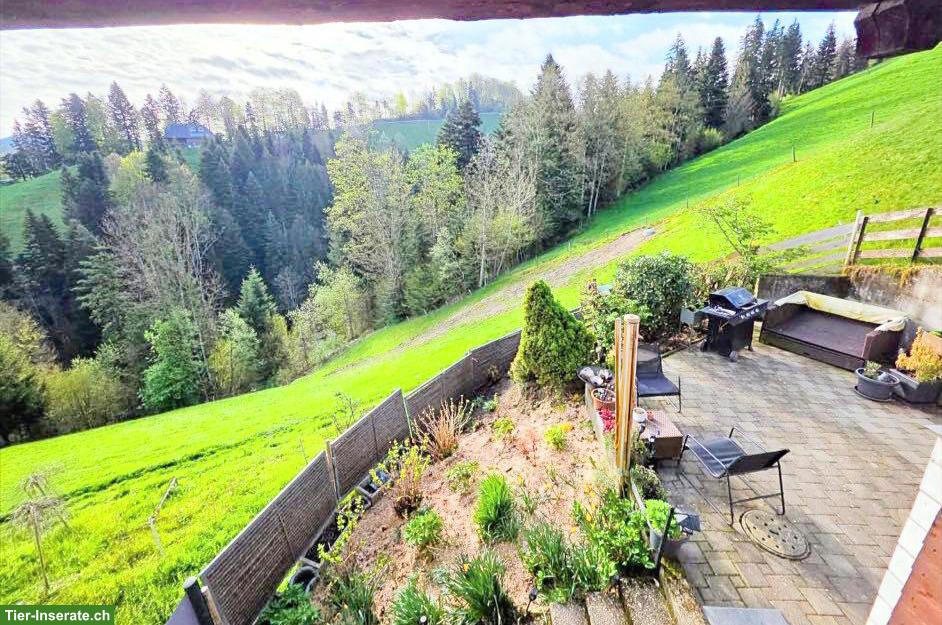 4.5-Zimmer-Haushälfte mit Gartenparadies in Rüderswil